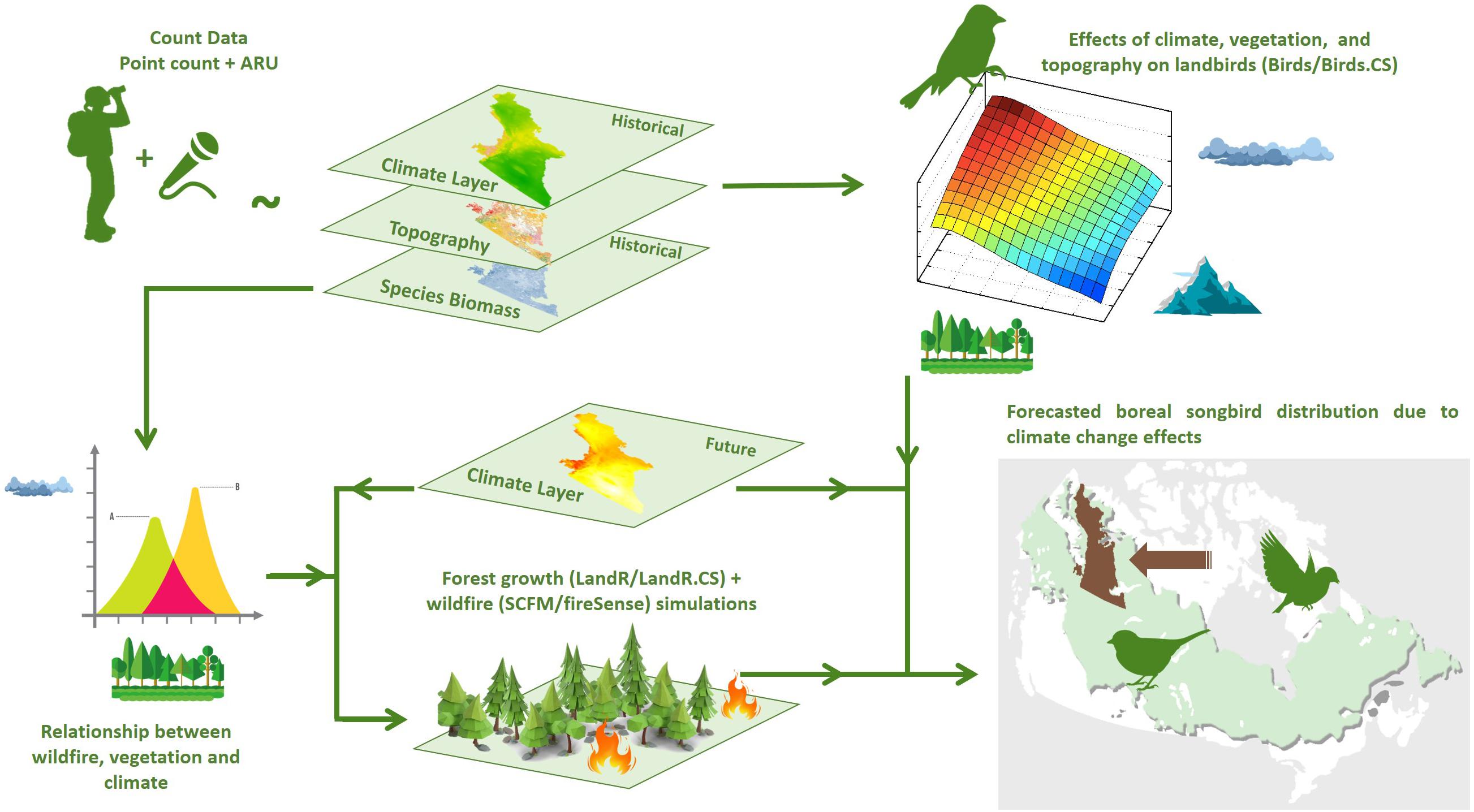 Publication: 'Assessing Pathways of Climate Change Effects in SpaDES: An Application to Boreal Landbirds of Northwest Territories Canada'
